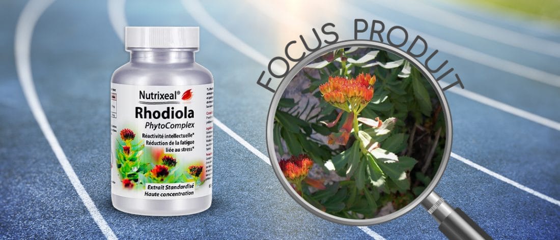 Focus produit sur le produit Rhodiola PhytoComplex (Rhodiola rosea) de Nutrixeal.