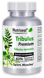 Tribulus terrestris Premium Nutrixeal contient une teneur exceptionnelle en actifs furostanol saponines).